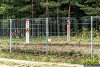Агне Билотайте - Второй день подряд на границе Литвы и Беларуси обошлось без задержания нелегальных мигрантов - naviny.by - Белоруссия - Литва