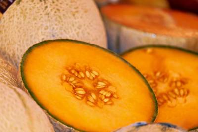Медики рассказали, с какими продуктами лучше не сочетать дыню - actualnews.org