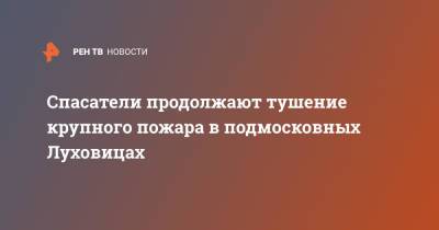 Спасатели продолжают тушение крупного пожара в подмосковных Луховицах - ren.tv - Московская обл. - Московская область