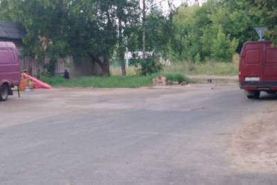 В Твери просят помощь щенку с переломанными лапами - tver.mk.ru - Тверь - район Заволжский, Тверь