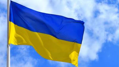 В Мариуполе парень сжёг флаг Украины, а затем извинился (фото, видео) - sharij.net - Украина - Днепропетровская обл. - Мариуполь - Львовская обл. - Донецкая обл.