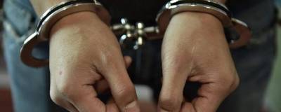 В Воронежскую область доставили подозреваемого в убийстве из-за 5 млн рублей - runews24.ru - Москва - Тула - Воронежская обл. - Острогожск