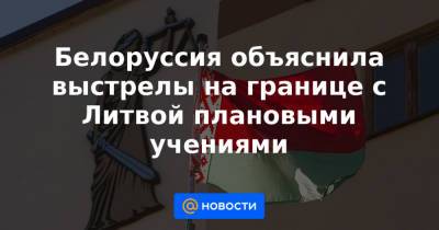 Белоруссия объяснила выстрелы на границе с Литвой плановыми учениями - news.mail.ru - Белоруссия - Литва