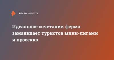 Идеальное сочетание: ферма заманивает туристов мини-пигами и просекко - ren.tv - Англия - Великобритания