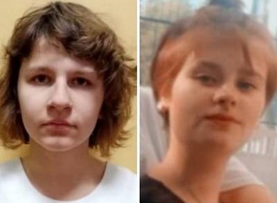 Найдена одна из девочек, пропавших в Рязанской области в середине июля - ya62.ru - Рязанская обл. - Самарская обл. - район Касимовский