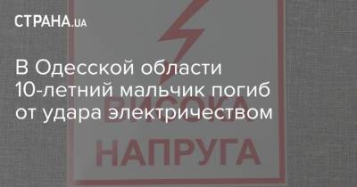 В Одесской области 10-летний мальчик погиб от удара электричеством - strana.ua - Украина - Одесса - Одесская обл. - Тернополь