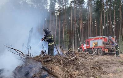 Почти 900 человек и два пожарных поезда привлекли к тушению огня в мордовском заповеднике - tass.ru - Россия - респ. Чувашия - Ульяновская - респ. Марий Эл - Пензенская обл. - республика Мордовия