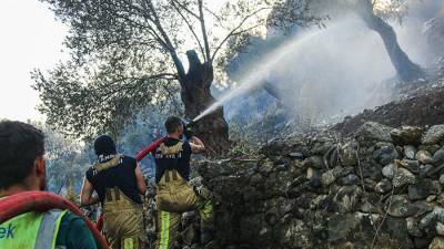 Бекир Пакдемирли - В Турции заявили об отсутствии представляющих угрозу городам лесных пожаров - iz.ru - Израиль - Турция - Греция