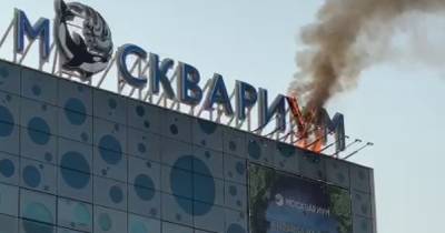 На ВДНХ загорелась вывеска «Москвариума» - moslenta.ru - Москва - Россия