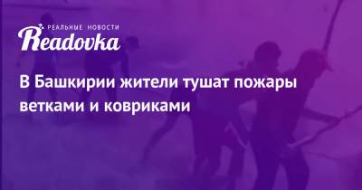 В Башкирии жители тушат пожары ветками и ковриками - readovka.ru - Башкирия - республика Мордовия