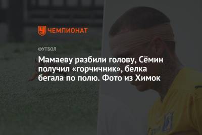 Денис Глушаков - Николай Комличенко - Юрий Семин - Мамаеву разбили голову, Сёмин получил «горчичник», белка бегала по полю. Фото из Химок - championat.com