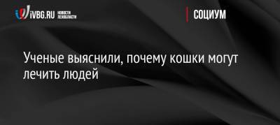 Ученые выяснили, почему кошки могут лечить людей - ivbg.ru - Россия - Украина - штат Миссури