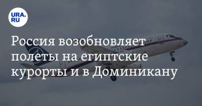 Владимир Путин - Михаил Мальцев - Россия возобновляет полеты на египетские курорты и в Доминикану - ura.news - Москва - Россия - Египет - Молдавия - Уральск - Бахрейн