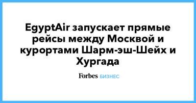 EgyptAir запускает прямые рейсы между Москвой и курортами Шарм-эш-Шейх и Хургада - forbes.ru - Москва - Египет