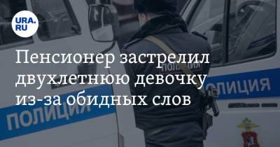 Пенсионер застрелил двухлетнюю девочку из-за обидных слов - ura.news - Россия - Тульская обл.