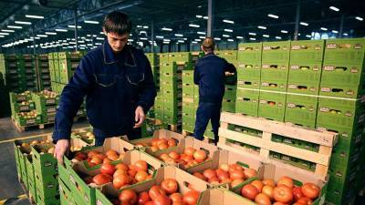 Виктор Евтухов - Цены на доставку овощей по России хотят снизить - iz.ru - Россия - Израиль