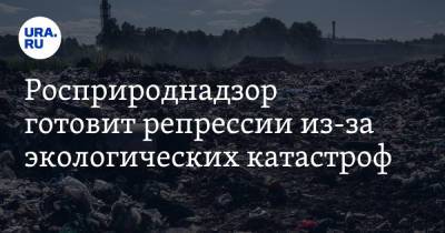 Светлана Радионова - Росприроднадзор готовит репрессии из-за экологических катастроф - ura.news