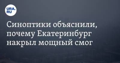 Галина Шепоренко - Синоптики объяснили, почему в Екатеринбурге испортился воздух - ura.news - Екатеринбург - Свердловская обл.