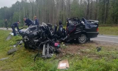 Семья с годовалым ребенком погибла в страшном ДТП на трассе «Вологда-Медвежьегорск» - gubdaily.ru - Вологда - Медвежьегорск