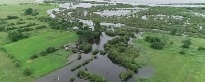 В Приамурье подтоплены дома и несколько сел остаются без автомобильного сообщения - runews24.ru - Амурская обл.