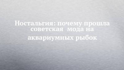 Ностальгия: почему прошла советская мода на аквариумных рыбок - chelny-izvest.ru