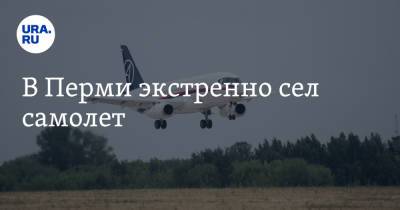 В Перми экстренно сел самолет - ura.news - Москва - Пермь - Омск