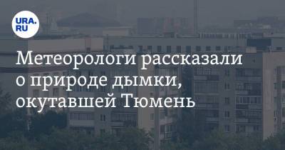 Метеорологи рассказали о природе дымки, окутавшей Тюмень. Фото - ura.news - Тюмень - Тюменская обл. - респ. Саха