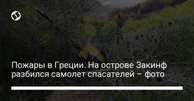 Пожары в Греции. На острове Закинф разбился самолет спасателей – фото - liga.net - Украина - Турция - Македония - Греция