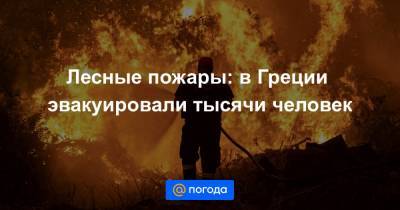 Лесные пожары: в Греции эвакуировали тысячи человек - news.mail.ru - Афины - Греция