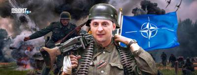 Анатолий Вассерман - Украина стремится получить «статус первоочередного пушечного мяса» - politnavigator.net - США - Украина - Киев