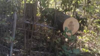 Бревно на ограде: пензячку возмутил бардак на Мироносицком кладбище - penzainform.ru - Россия - Пенза - Благоустройство