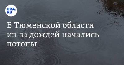 В Тюменской области из-за дождей начались потопы - ura.news - Тюменская обл. - Тобольск