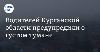 Водителей Курганской области предупредили о густом тумане - ura.news - Екатеринбург - Челябинск - Курганская обл.