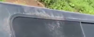 На машину сахалинца напал медведь и пытался вытащить его за ногу - runews24.ru - Сахалинская обл.