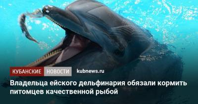 Владельца ейского дельфинария обязали кормить питомцев качественной рыбой - kubnews.ru - Россия - Краснодарский край - Ейск