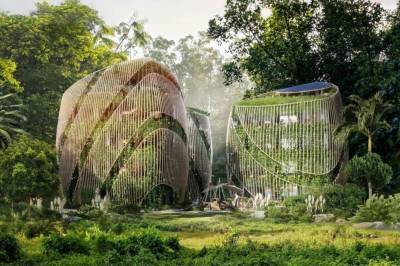Архитекторы из Мексики представили уникальные зеленые дома будущего и мира - cursorinfo.co.il - Мексика - Строительство
