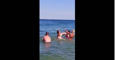 Расколол религиозный вопрос: на пляже в Одессе женщины подрались на глазах у ребенка (ВИДЕО) - dsnews.ua - Украина - Одесса
