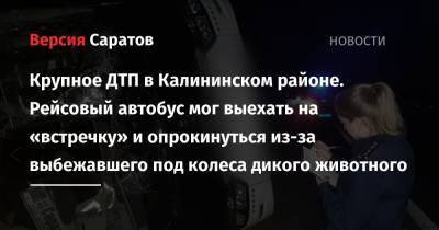 Роман Бусаргин - Крупное ДТП в Калининском районе. Рейсовый автобус мог выехать на «встречку» и опрокинуться из-за выбежавшего под колеса дикого животного - nversia.ru - Саратовская обл. - Саратов - Волгоград - Астрахань - Белгород - Тамбов