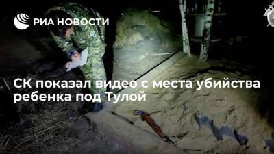 СК опубликовал видео с места убийства двухлетней девочки в деревне Панарино Тульской области - ria.ru - Москва - Россия - Тульская обл.