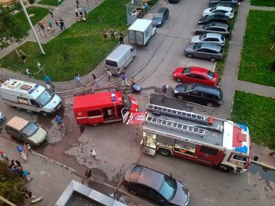 В МЧС назвали причину вчерашнего переполоха на Витебском шоссе в Смоленске - rabochy-put.ru - Смоленск - Витебск