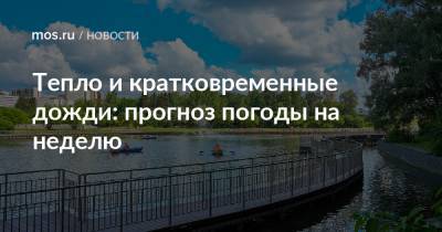 Тепло и кратковременные дожди: прогноз погоды на неделю - mos.ru - Москва