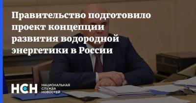 Михаил Мишустин - Правительство подготовило проект концепции развития водородной энергетики в России - nsn.fm - Россия