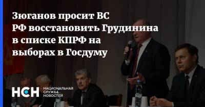 Павел Грудинин - Геннадий Зюганов - Зюганов просит ВС РФ восстановить Грудинина в списке КПРФ на выборах в Госдуму - nsn.fm - Россия