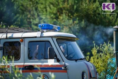 Стая воронья у берега Печоры привлекла спасателей во время поисков пропавшей женщины в Троицко-Печорске - komiinform.ru - респ. Коми - Печорск - район Троицко-Печорский