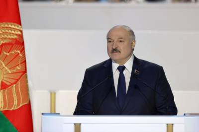 Александр Лукашенко - Лукашенко заявил, что интеграция с РФ должна быть без потери суверенитета - aif.ru - Россия - Белоруссия - ?