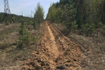 В Сормове вырубят деревья, создающие угрозу частному сектору в случае пожара - nn.mk.ru