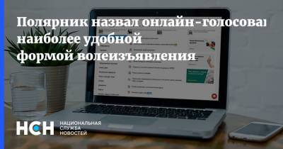 Полярник назвал онлайн-голосование наиболее удобной формой волеизъявления - nsn.fm - Москва - Россия