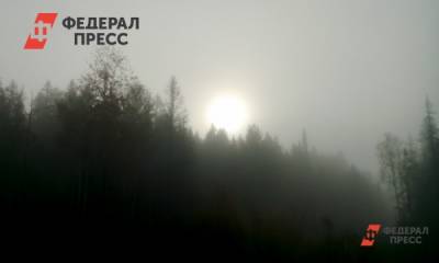 Как уберечься от смога и гари из-за лесных пожаров в Якутии: советы медика - fedpress.ru - Россия - Екатеринбург - Челябинск - респ. Саха