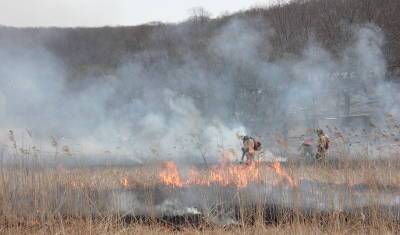 На оперативке главы Башкирии заявили, что мошенники наживаются на лесных пожарах - mkset.ru - Башкирия
