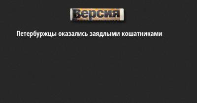 Петербуржцы оказались заядлыми кошатниками - neva.versia.ru - Россия